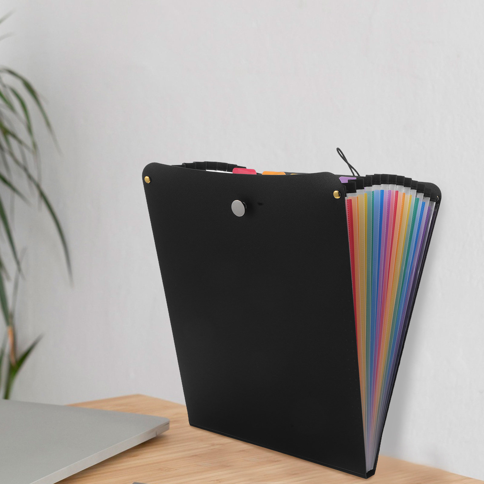 A4 Accordion File Organizer 13 - đánh giá và giá Expandable Accordion File Folder 13 Pockets